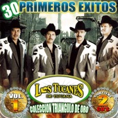 Vicente Chaidez - Los Tucanes de Tijuana