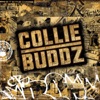 Collie Buddz - What A Feeling