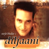 Diljaani artwork