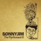 The Headsplit - Sonnyjim lyrics