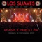 Dulce Castigo (En Directo) - Los Suaves lyrics