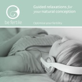 Guided Relaxations for Your Natural Conception artwork