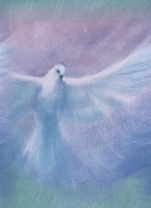 Divinely Guided Healing cover