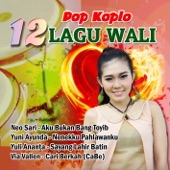 Pop Koplo 12 Lagu Wali artwork