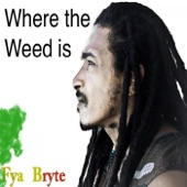 Where the Weed Is artwork