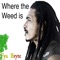 Where the Weed Is artwork