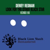 Look For the Other Black Star artwork