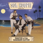 Master of the Hawaiian Guitar, Vol. 2