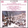 Hungarian Radio Choir - Was mir behagt, ist nur die muntre Jagd, BWV208, XI. Chorus