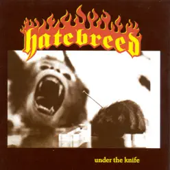 Under the Knife - Hatebreed
