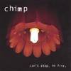 can't Stop, On Fire