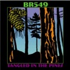 Br5-49