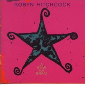 Robyn Hitchcock - I Saw Nick Drake