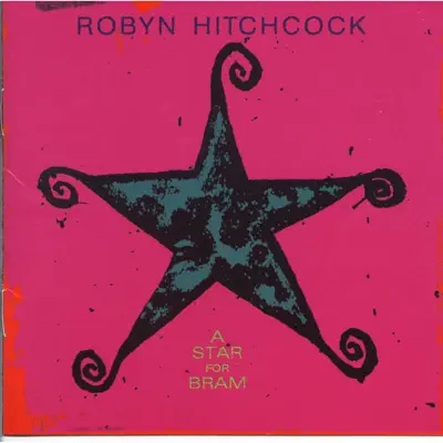 A Star for Bram - Robyn Hitchcock