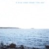 A Blue Ocean Dream