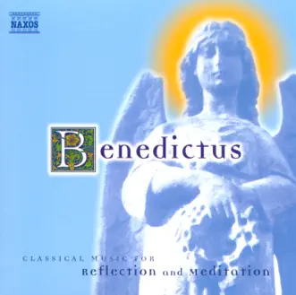 Benedictus: Classical Music for Reflection and Meditation by Christian Hommel & Slovak Radio Symphony Orchestra album reviews, ratings, credits