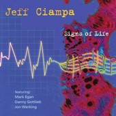 Jeff Ciampa - Ice Rain
