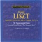 "The Demonic Liszt," V. Reminiscences de "Don Juan" (after Mozart) artwork