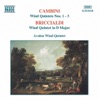 Cambini & Briccialdi: Wind Quintets