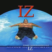 Alone in IZ World artwork