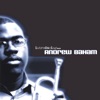 Andrew Baham - Fuller Love