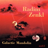 Radim Zenkl - Three Weeks In An Empty House