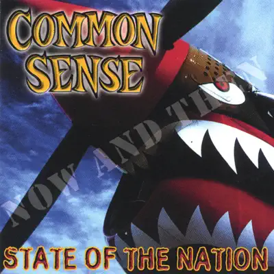 State of the Nation (Now & Then) - Common Sense