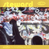 Steward - This Land Is Nervous