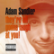 The Thanksgiving Song - Adam Sandler