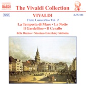 VIVALDI: Flute Concertos, Vol. 2 artwork