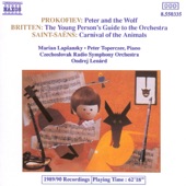 Peter and the Wolf, Op. 67: No. 2, The Bird artwork