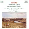 Brahms: Clarinet Trio, Op. 114 and Clarinet Quintet, Op. 115 album lyrics, reviews, download