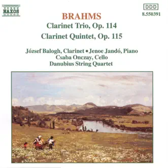 Brahms: Clarinet Trio, Op. 114 and Clarinet Quintet, Op. 115 by Csaba Onczay, Danubius String Quartet, Jenő Jandó & József Balogh album reviews, ratings, credits