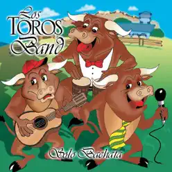 Solo Bachata - Los Toros Band