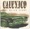 Calexico - Stray