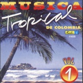 Musica Tropical de Colombia, Vol. 1 artwork