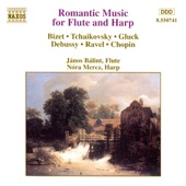 Romantic Music for Flute and Harp artwork