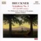 Symphony No. 3 in D Minor, WAB 103 (1889 version): III. Ziemlich Schnell artwork