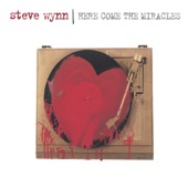 Steve Wynn - Shades of Blue