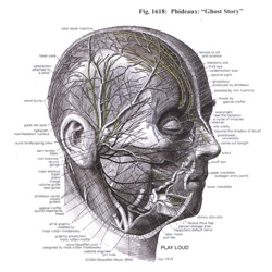 Phideaux - Beyond the Shadow of Doubt