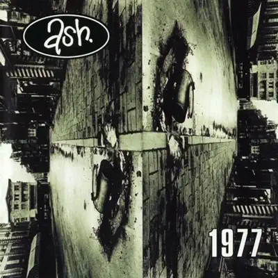 1977 - Ash