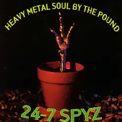 Heavy Metal Soul By the Pound - 24-7 Spyz