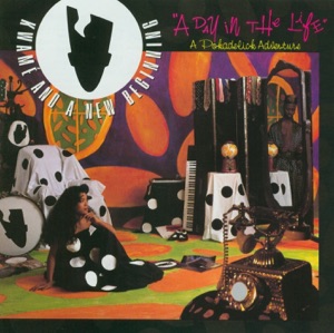 A Day In the Life - A Pokadelick Adventure