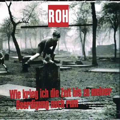Wie krieg ich die Zeit bis zu meiner Beerdigung noch rum - Roh