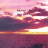 Many Souls, 2004