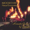 Moodtapes - Pachelbel's Canon In D