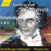 Symphony No. 6 in F Major, Op. 68 "Pastoral": III. Lustiges Zusammensein Der Landleute - Allegro artwork