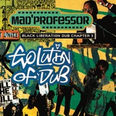 Evolution of Dub (Chapter 3) artwork