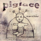 The Best of Pigface