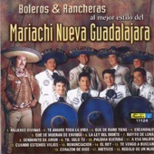 Boleros & Rancheras al Mejor Estilo del Mariachi Nueva Guadalajara artwork